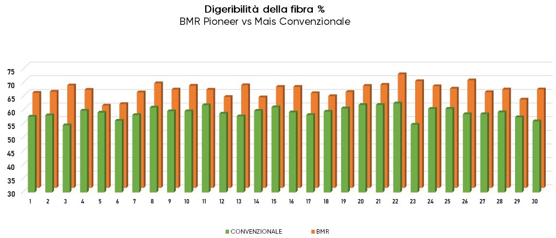 Grafico comparativo dei valori di digeribilità del silomais convenzionale e del silomais con genetica BMR