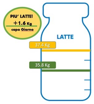 Incremento medio della produzione di latte nelle stalle che hanno alimentato la mandria con razioni a base di silomais BMR