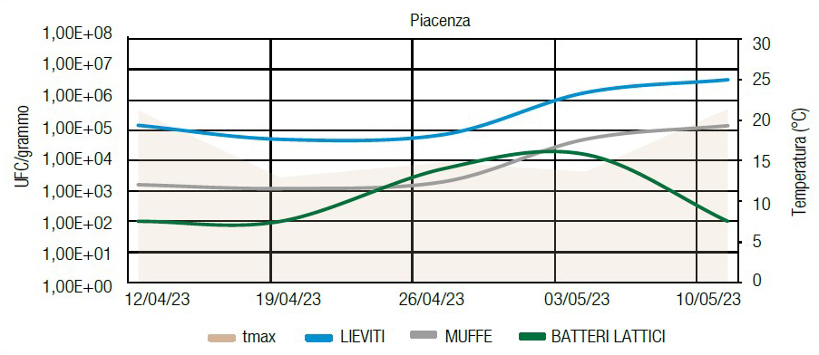 grafico della conta delle unità formanti colonia per grammo di pianta