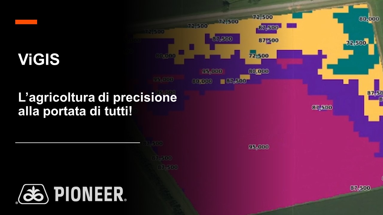 Anteprima del video ViGIS