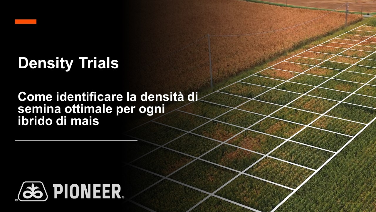 Anteprima del video Density Trials