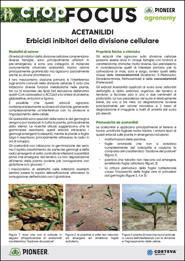 anteprima dell'articolo sulla tossicità da acetanilidi