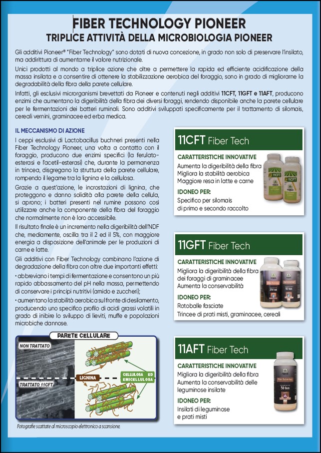 anteprima del volantino sugli additivi con tecnologia Fiber Technology
