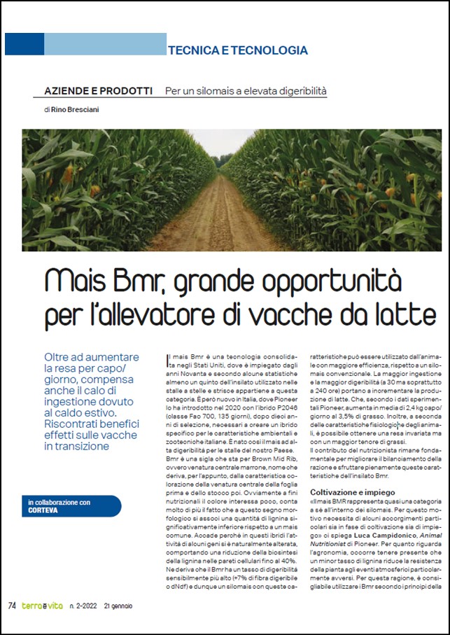 Anteprima dell'articolo sul mais BMR