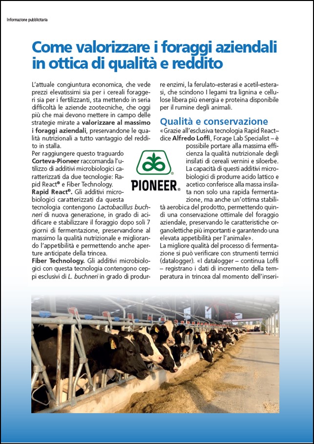 Anteprima dell'articolo sui cereali vernini
