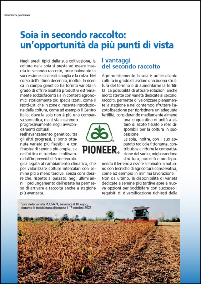 Anteprima dell'articolo sulla soia in secondo raccolto