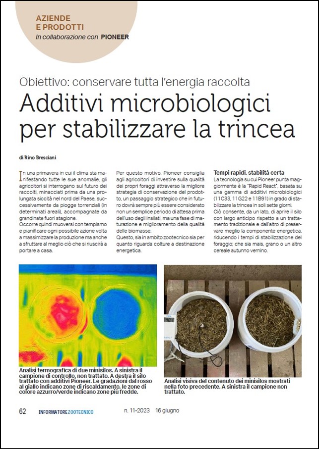 Anteprima dell'articolo sui test in minisilos