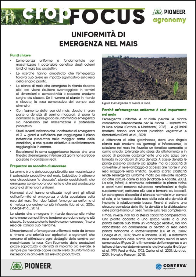 Immagine di anteprima dell'articolo sull'uniformità di emergenza nel mais