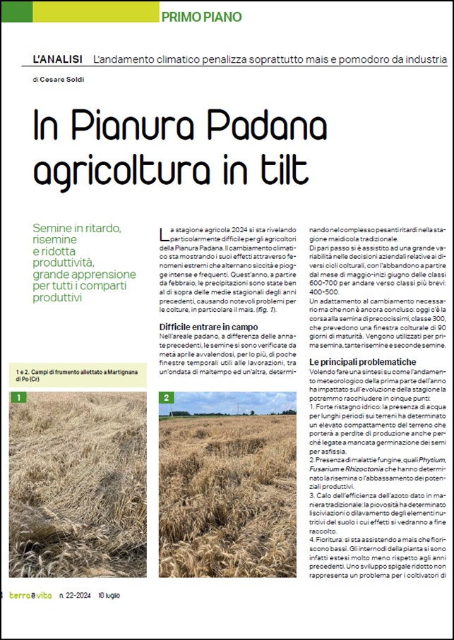 Anteprima dell'articolo sulla stagione agricola 2024