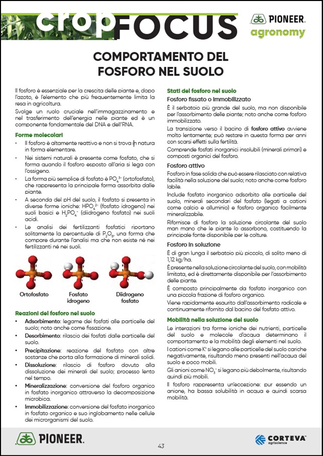 Anteprima dell'articolo sul comportamento del fosforo nel suolo