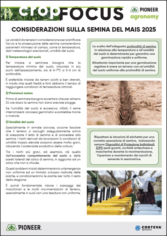 Anteprima dell'articolo sui consigli per la semina del mais