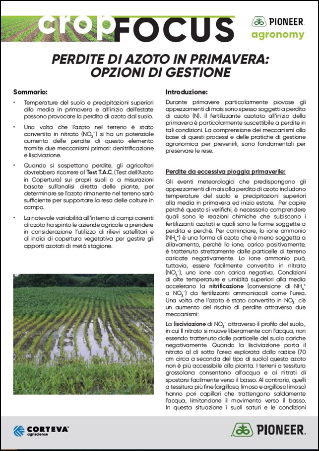 Anteprima dell'articolo Crop Focus sull'azoto e la sarchiatura
