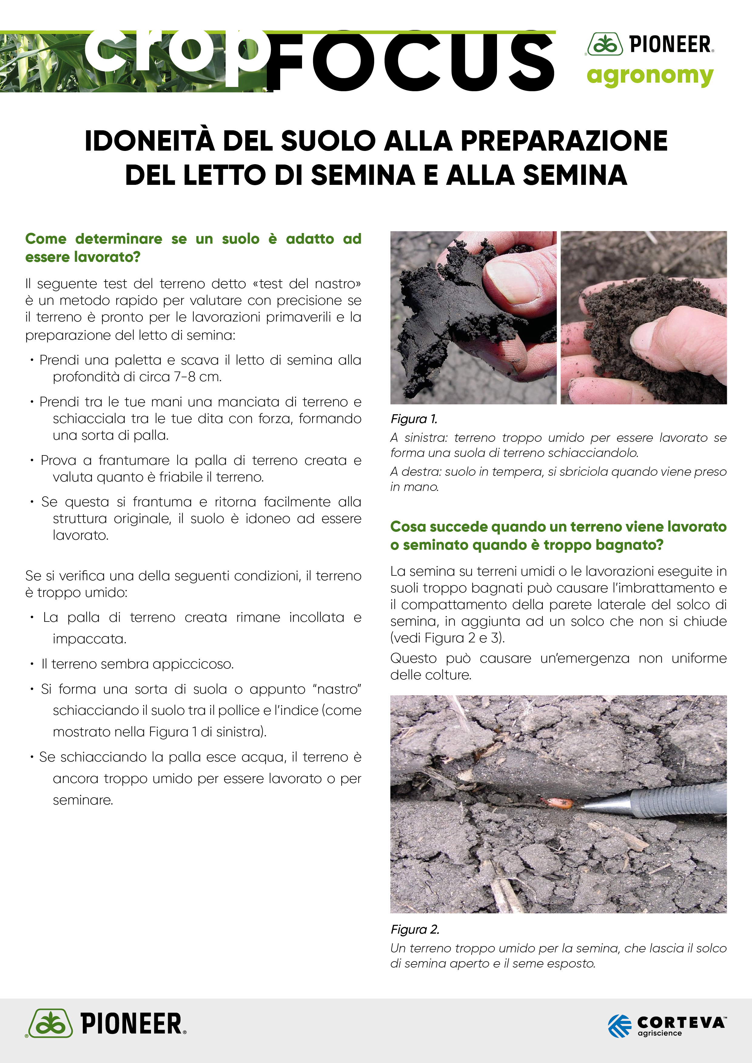Anteprima dell'articolo sull'idoneità del suolo alla semina