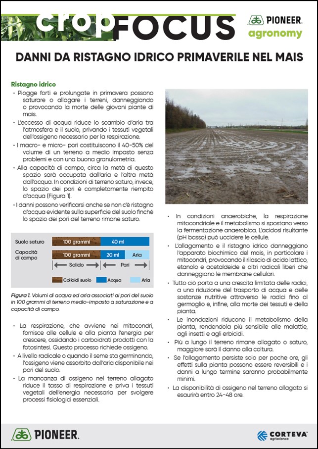 preview dell'articolo
