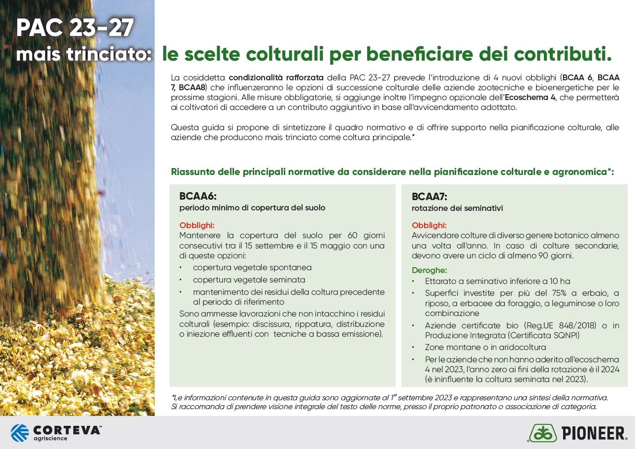 Guida PAC trinciato