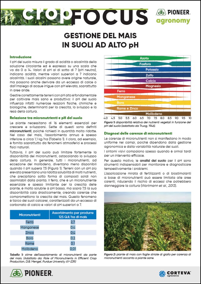 Immagine di anteprima dell'articolo sui suoli ad alto pH