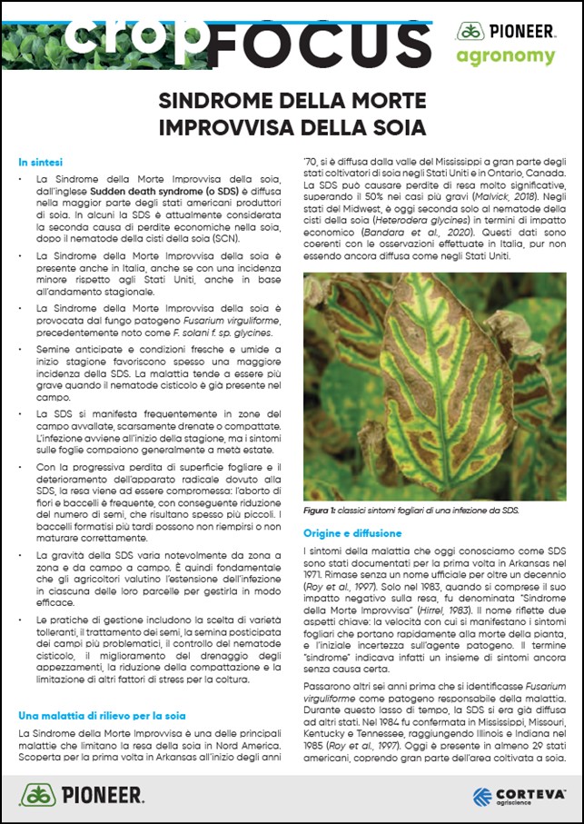 Anteprima dell'articolo sulla Sindrome della Morte Improvvisa della soia