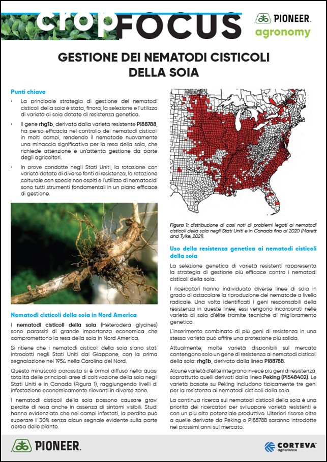 Anteprima dell'articolo sui nematodi cisticoli della soia