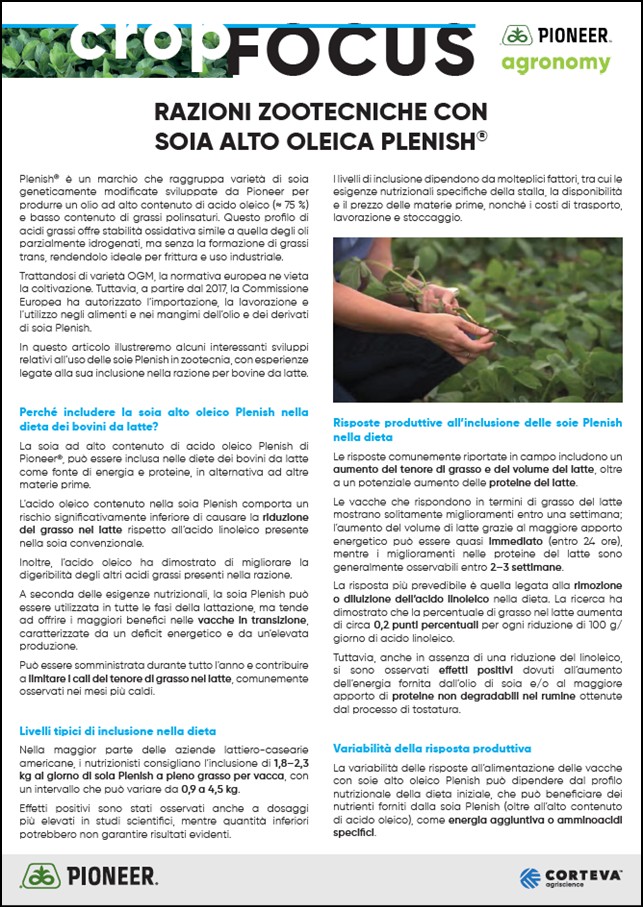 Anteprima dell'articolo sulle razioni zootecniche con soia alto oleico Plenish