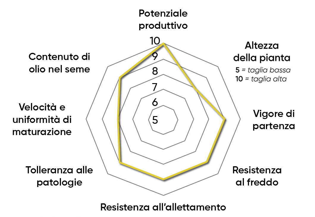 caratteristiche dell'ibrido di colza Pioneer PT312