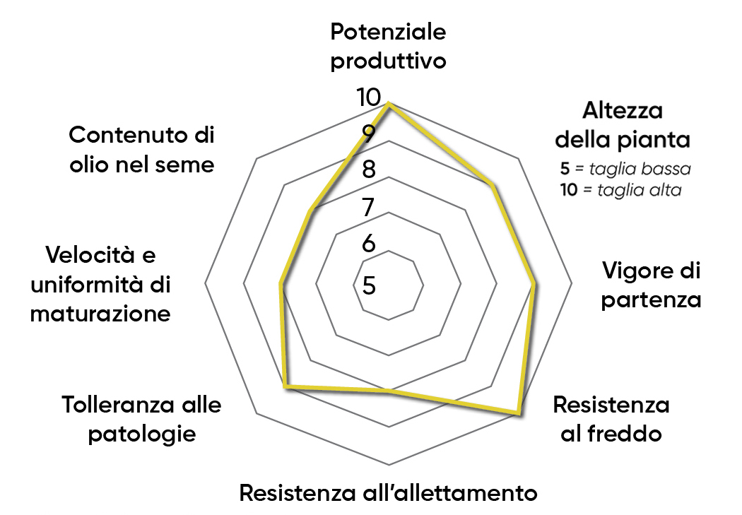 caratteristiche dell'ibrido di colza Pioneer PT320
