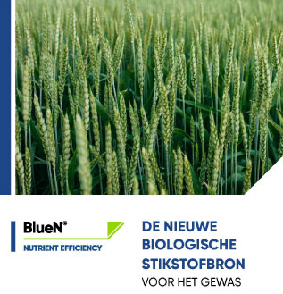 BlueN brochure MB