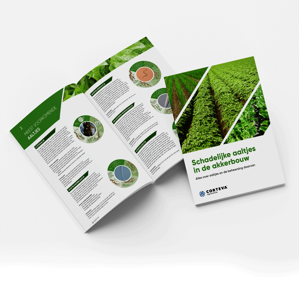Vierkant_beeld_aaltjesbrochure