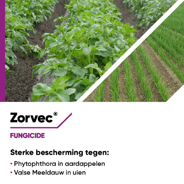 Brochure Zorvec 2021