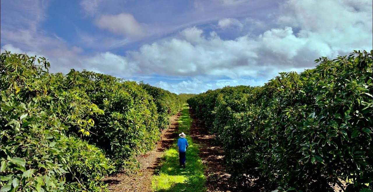 Sustainabilitate: Corteva Agriscience face acest lucru posibil