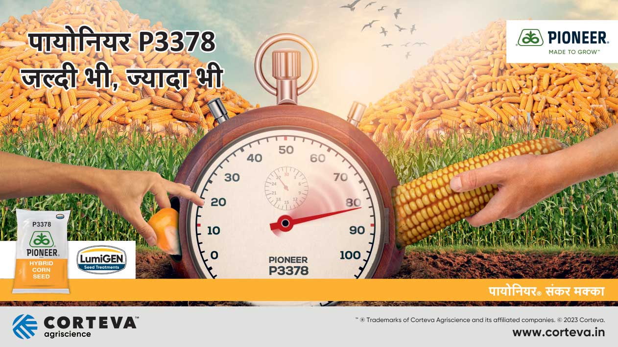 Pioneer Corn Seeds