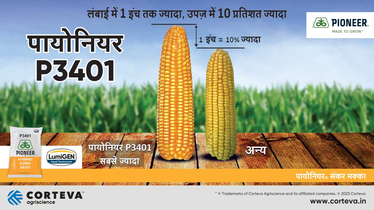 Pioneer Corn Seeds