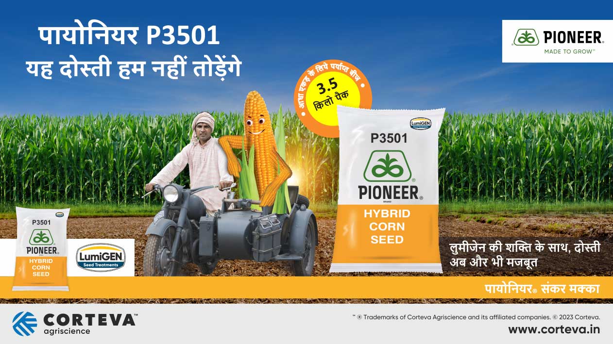 Pioneer Corn Seeds