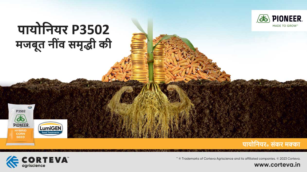 Pioneer Corn Seeds