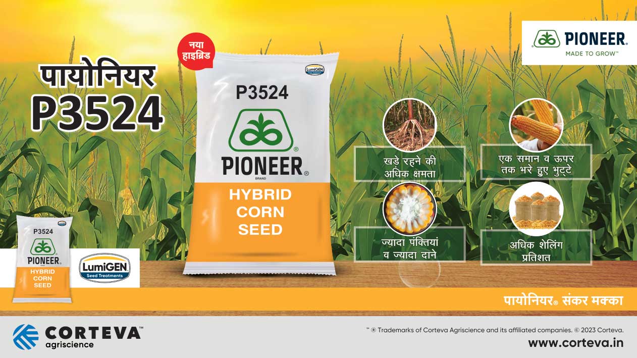 Pioneer Corn Seeds