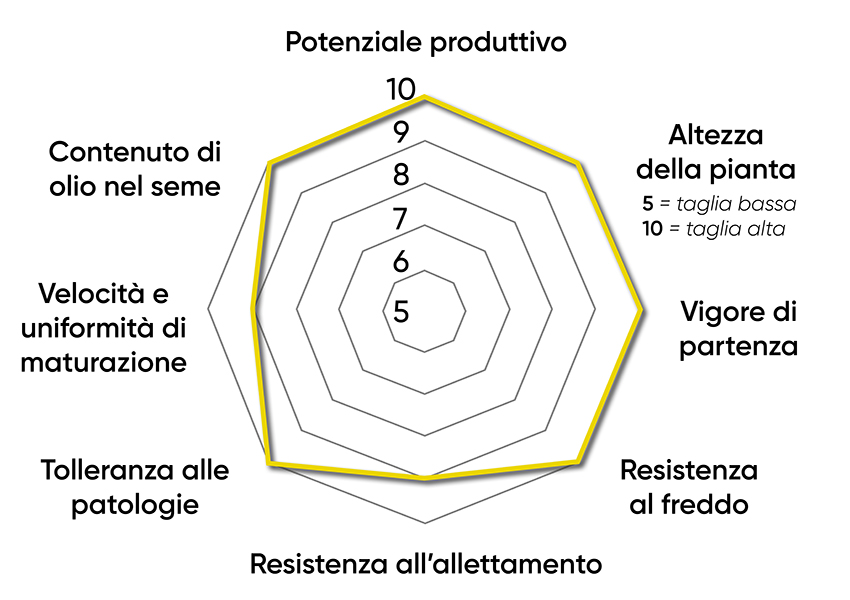 caratteristiche dell'ibrido di colza Pioneer PT303