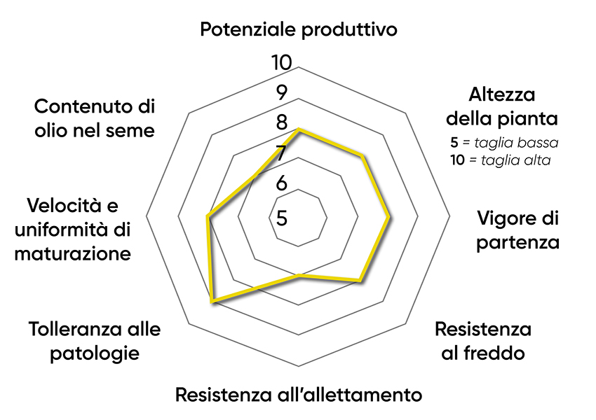 caratteristiche dell'ibrido di colza Pioneer PT312