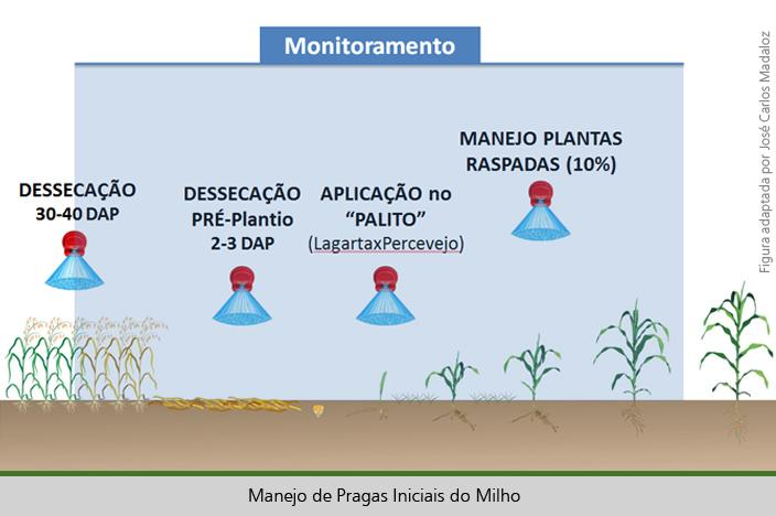 Uma imagem contendo Linha do tempo

Descrição gerada automaticamente