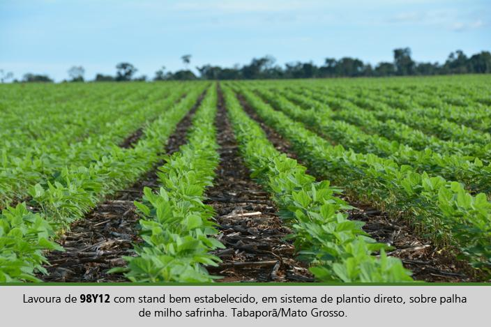 Campo verde com árvores ao fundo
Descrição gerada automaticamente