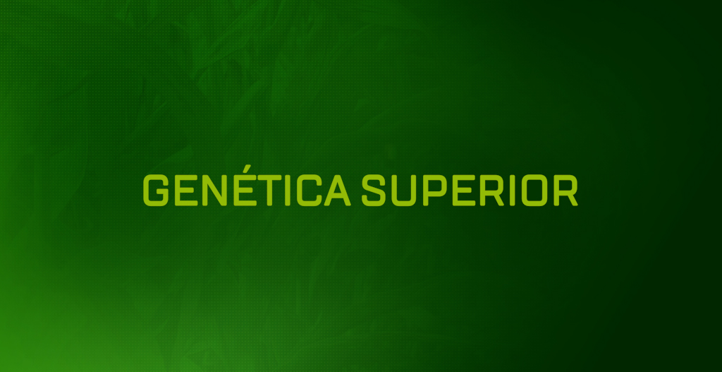 Genética superior