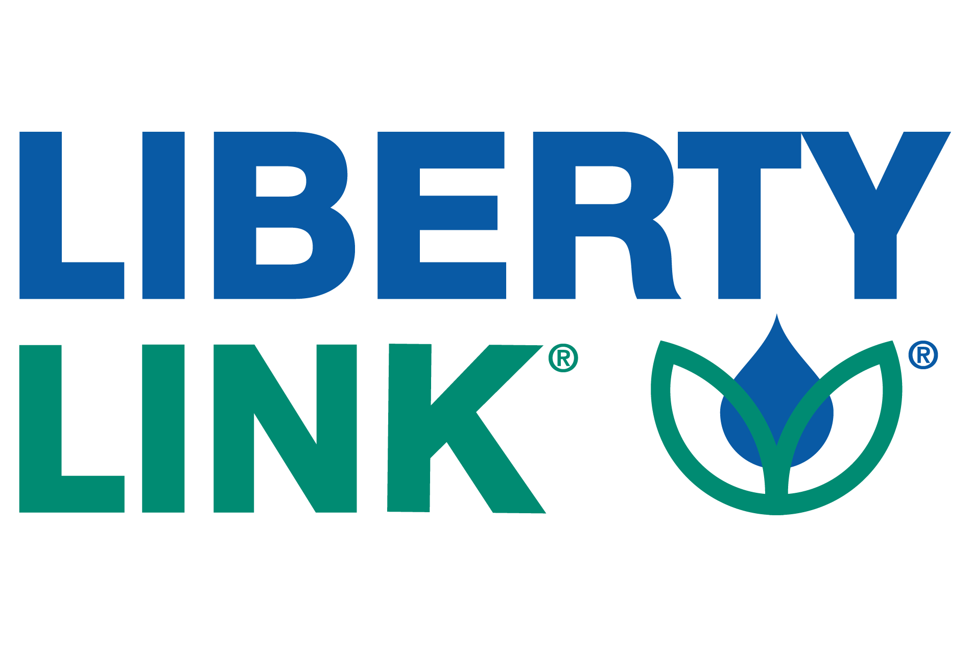 liberty link logo