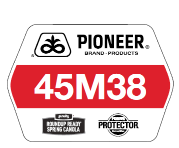Pioneer variety 45M38 sign