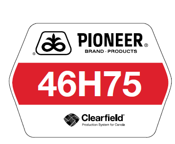 Pioneer variety 46H75 sign