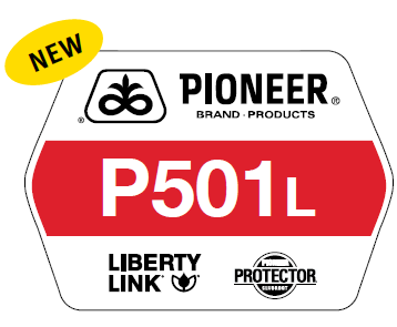 Pioneer variety P501L sign