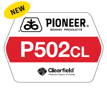 Pioneer variety P502CL sign