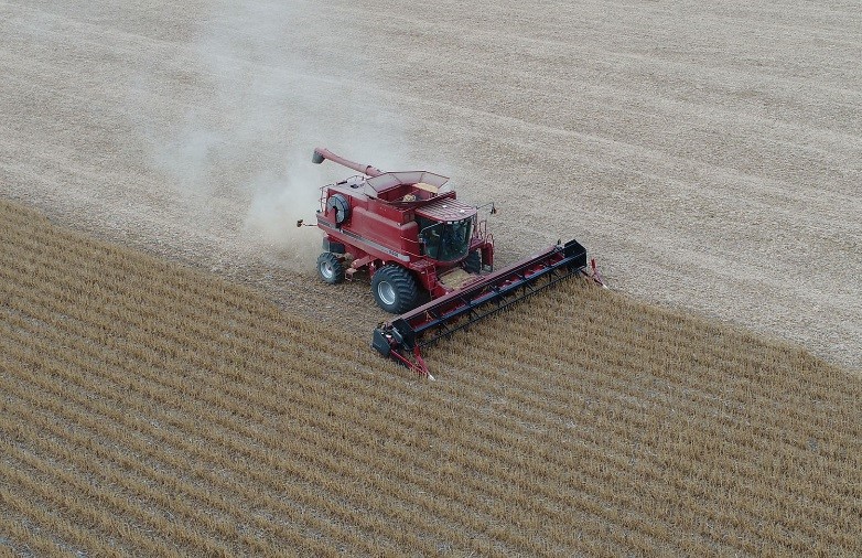 combine in soybean