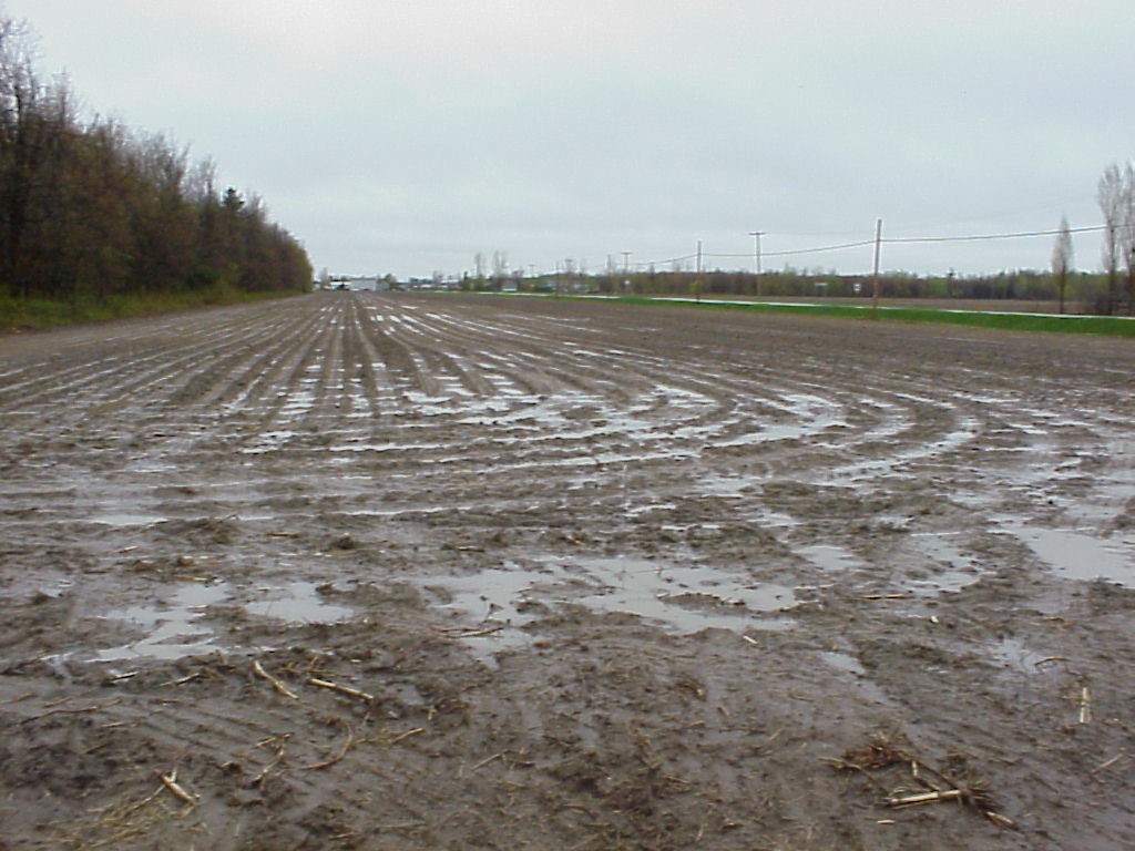Field with saturated soil following spring rainfall.