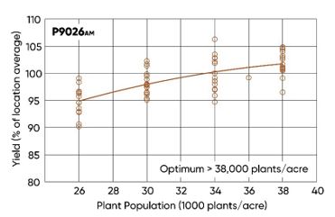 Yield response of Pioneer P9026AM to plant population.