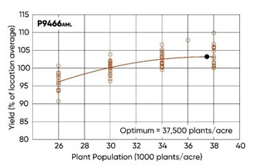 Yield response of Pioneer P9466AML to plant population.