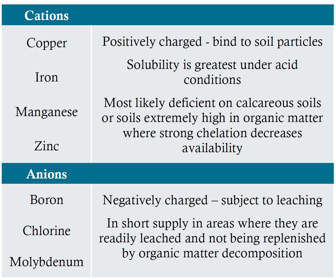 Chemical properties of micronutrients