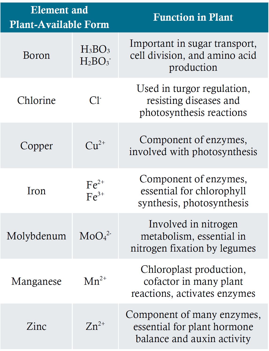 Plant available forms and functions of micro-nutrients in plants